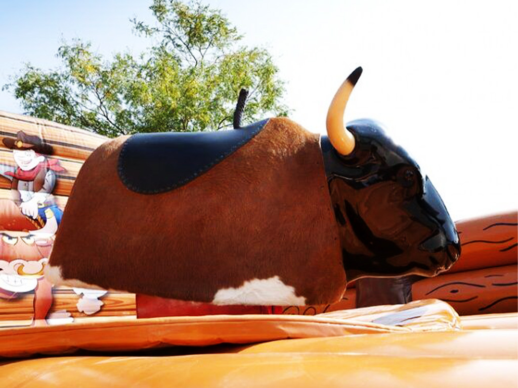 taureau-mecanique-cata.jpg